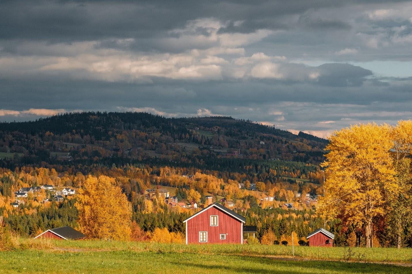 How to Prepare Your Home for the Coming Season