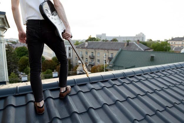 Benefits of Hiring Professional Roof Soft Washing Services
