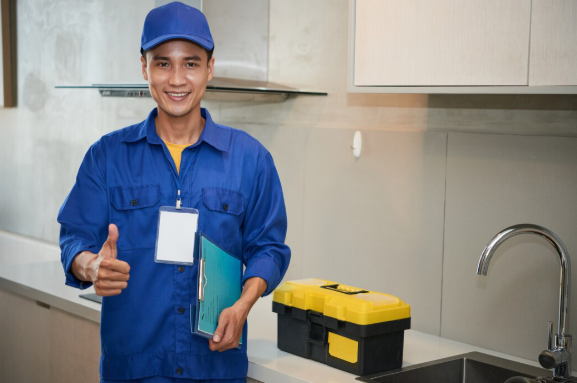 Why Consider a Professional Plumber for Your Home